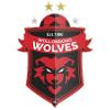 卧龙岗狼队logo