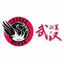 武汉盛帆女篮logo